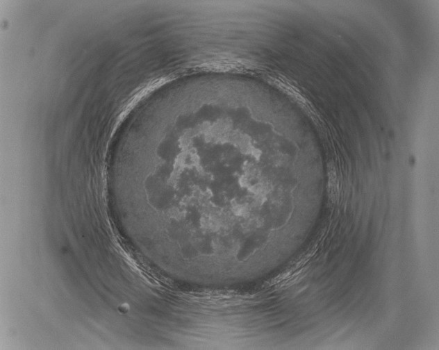 X0000081560626200702051150