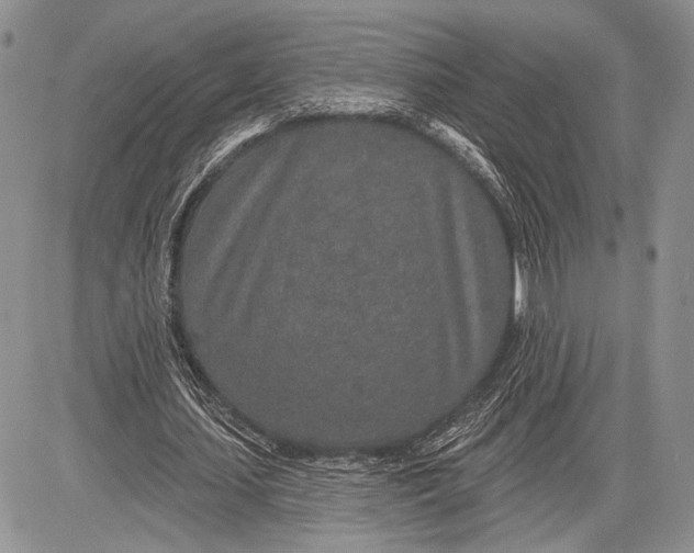 X0000081560627200702051150