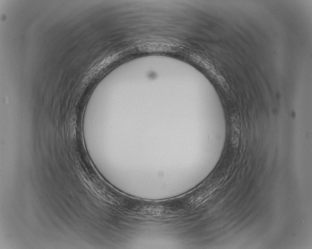 X0000081560631200702051150