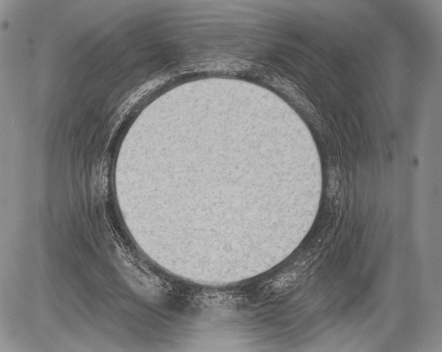 X0000081560632200702051150