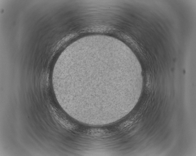 X0000081560636200702051150