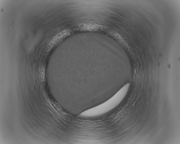 X0000081560640200702051150