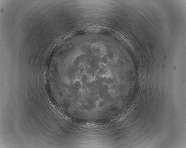 X0000081560641200702051150