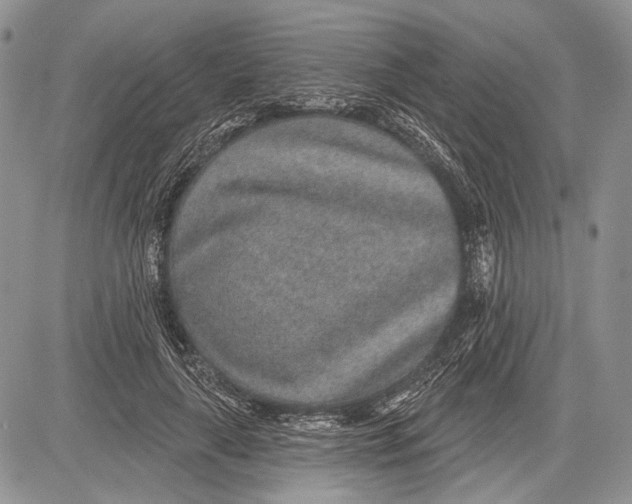 X0000081560643200702051150