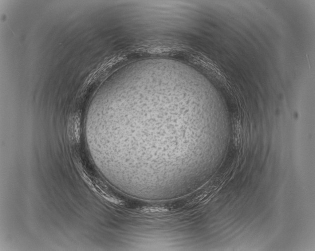 X0000081560644200702051150