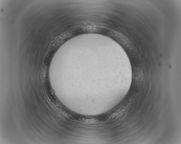 X0000081560645200702051150