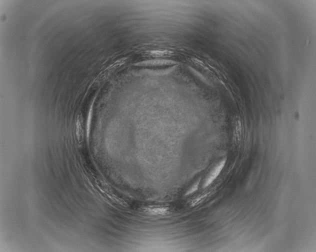 X0000081560651200702051150