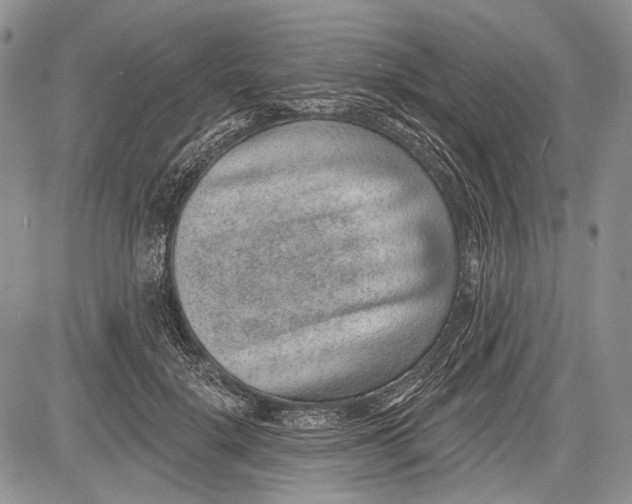 X0000081560652200702051150