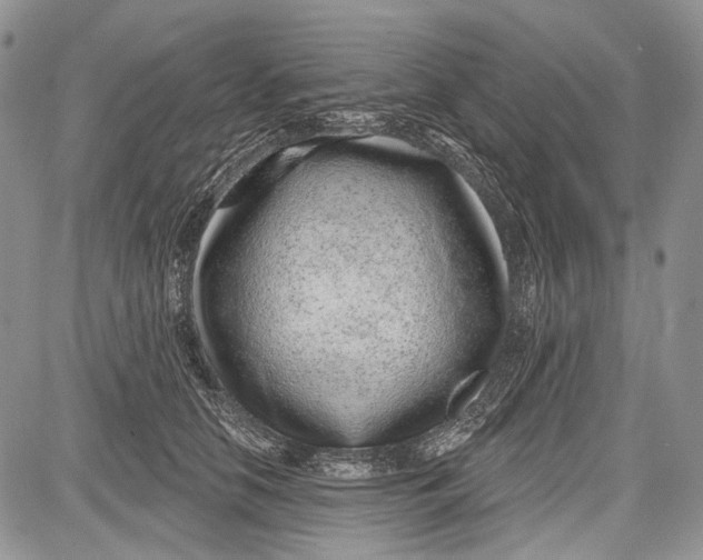 X0000081560658200702051150