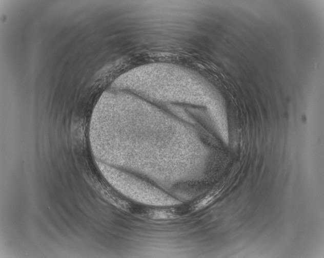 X0000081560662200702051150