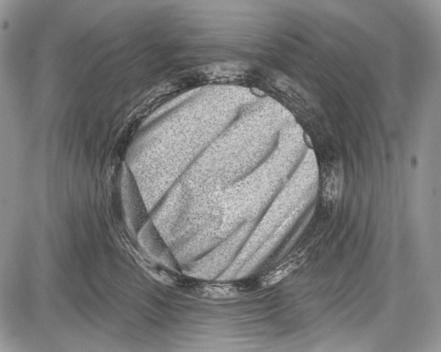 X0000081560666200702051150