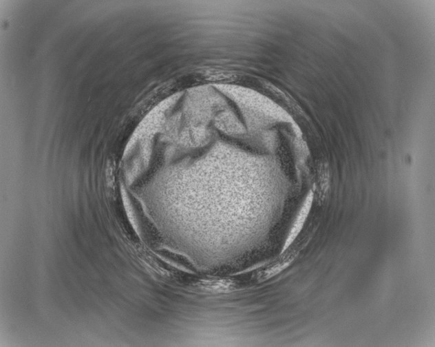 X0000081560667200702051150