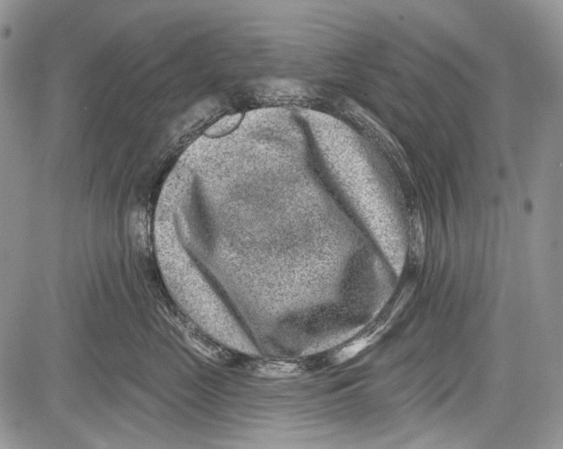 X0000081560669200702051150