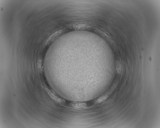 X0000081560670200702051150