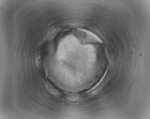 X0000081560671200702051151