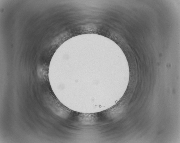 X0000081560672200702051151