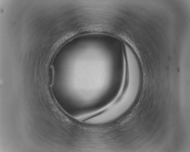 X0000081560673200702051150