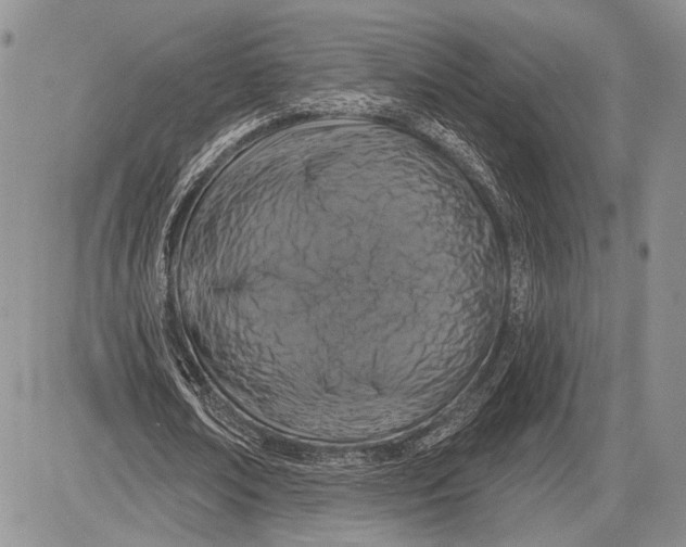 X0000081560674200702051150