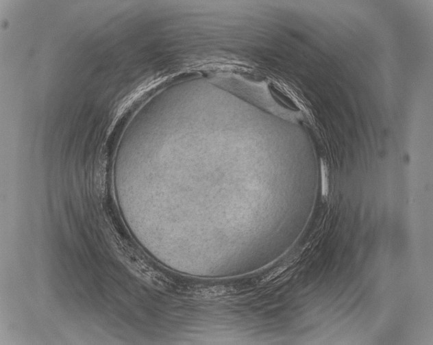 X0000081560675200702051150