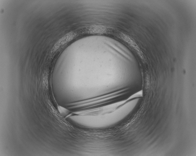 X0000081560681200702051150