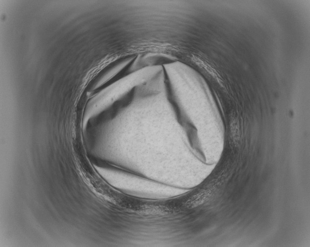 X0000081560682200702051150