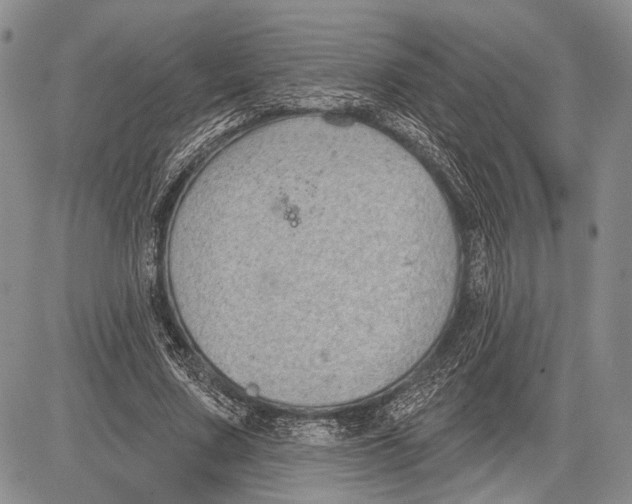 X0000081560683200702051150