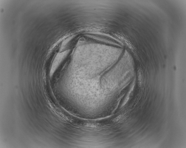 X0000081560684200702051150