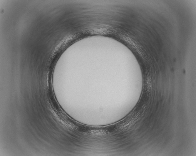 X0000081560686200702051150