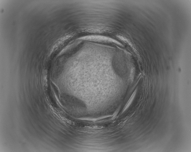 X0000081560688200702051149