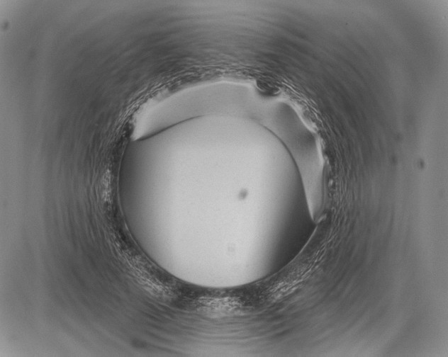 X0000081560689200702051149