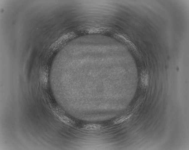 X0000081560691200702051149