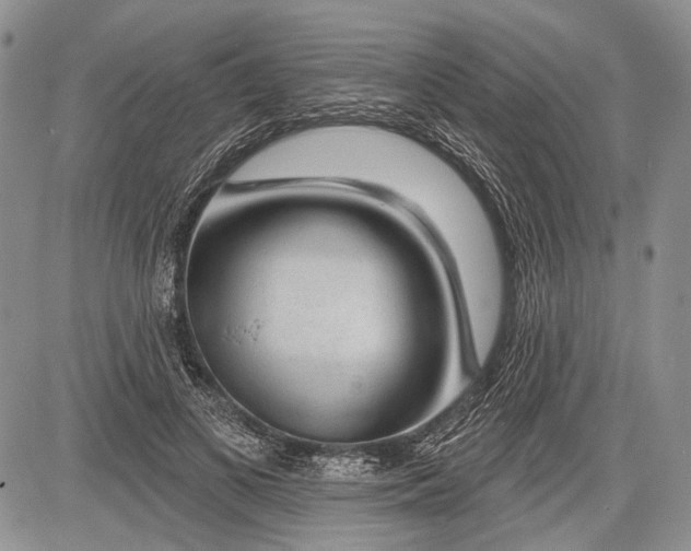 X0000081560693200702051149