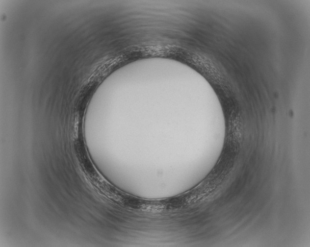 X0000081560694200702051149