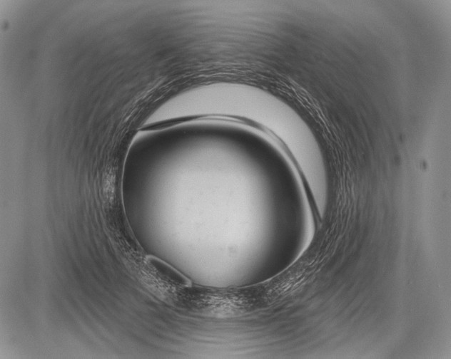 X0000081560697200702051149