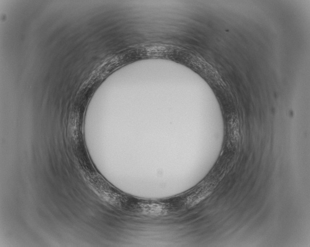 X0000081560698200702051149