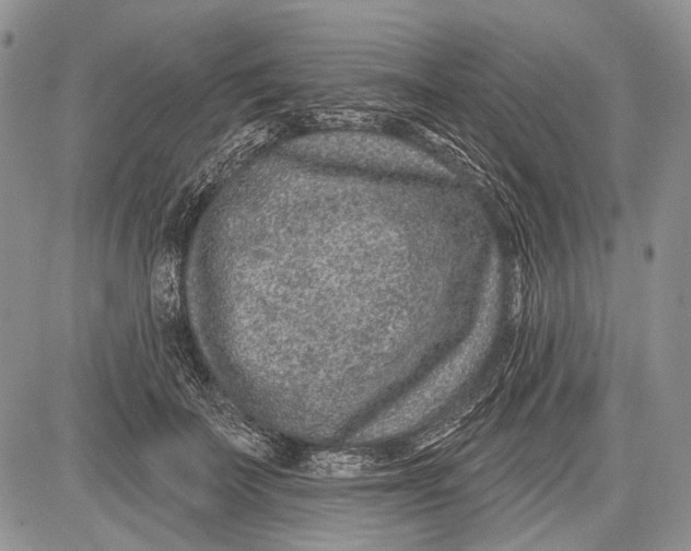 X0000081560699200702051149