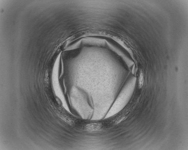 X0000081560700200702051149