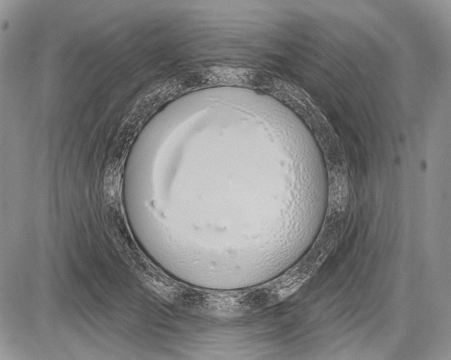 X0000081560701200702051149