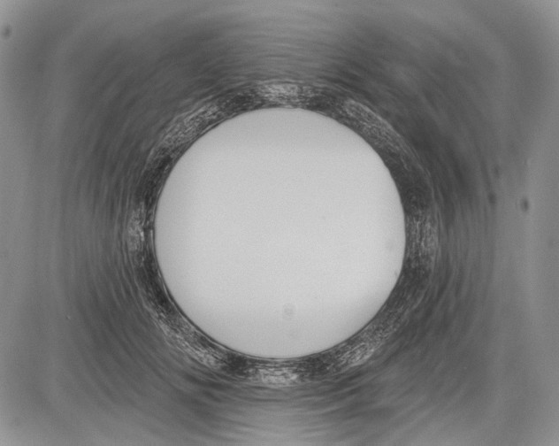 X0000081560702200702051149