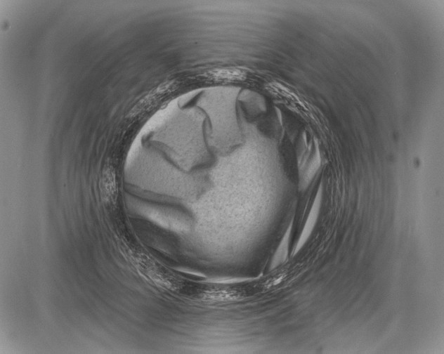 X0000081560704200702051149