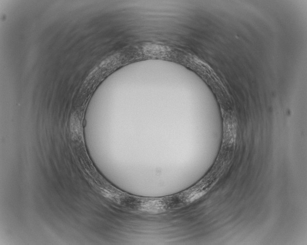 X0000081560705200702051149