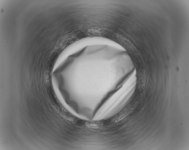 X0000081560706200702051149