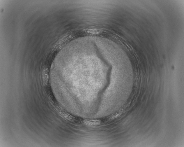 X0000081560707200702051149