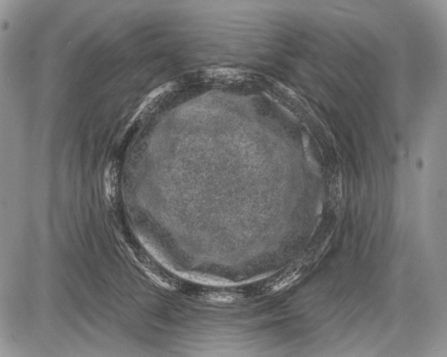 X0000081560708200702051149