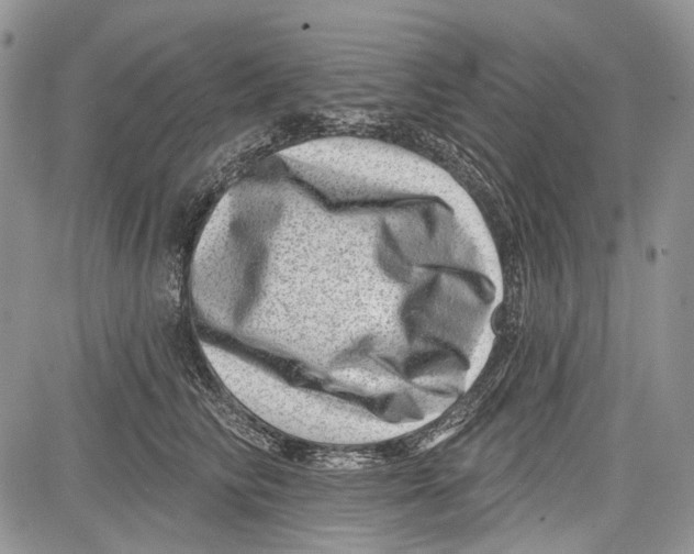 X0000081560710200702051149