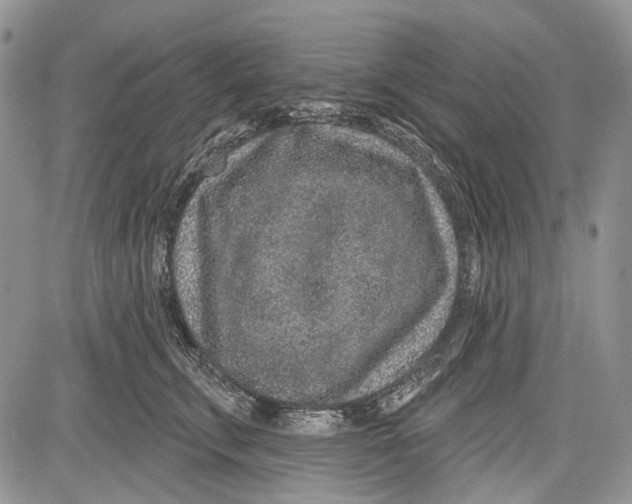 X0000081560711200702051149