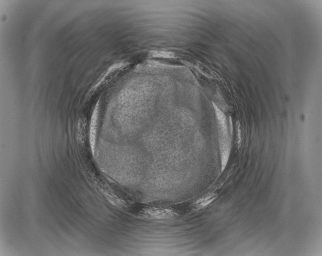 X0000081560712200702051149