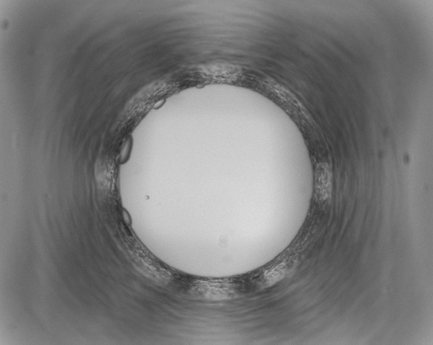 X0000081560713200702051149