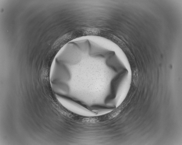 X0000081560714200702051149