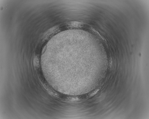 X0000081560715200702051149